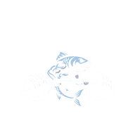 StrongFish
